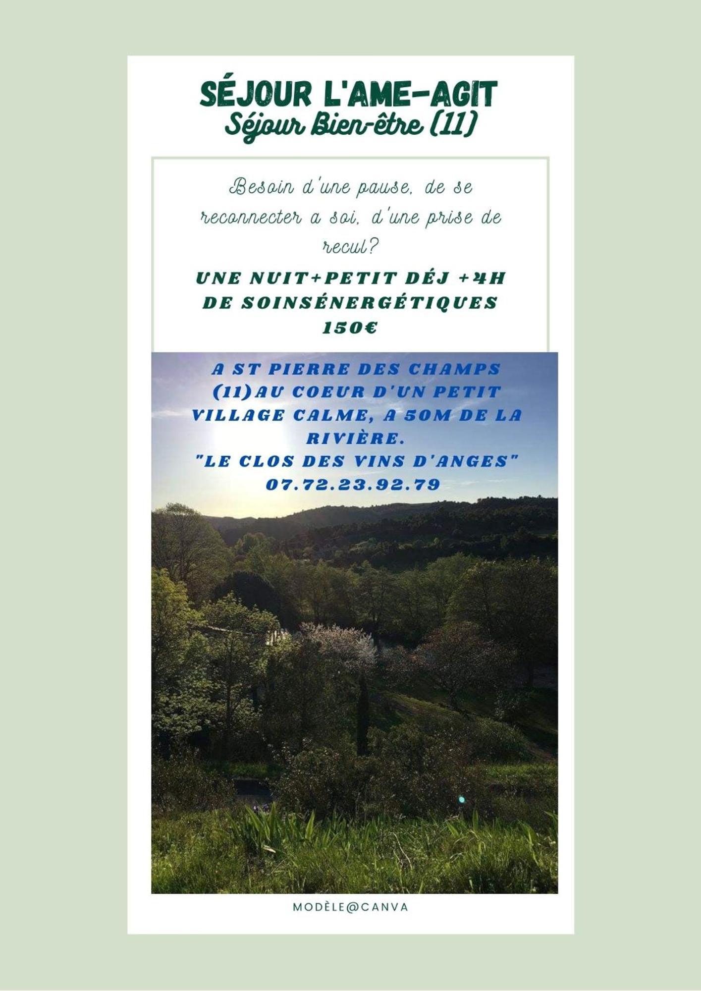 Chambre D'Hote Au Jardin Le Clos Des Vins D'Anges Saint-Pierre-des-Champs Buitenkant foto