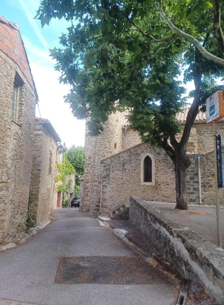 Chambre D'Hote Au Jardin Le Clos Des Vins D'Anges Saint-Pierre-des-Champs Buitenkant foto